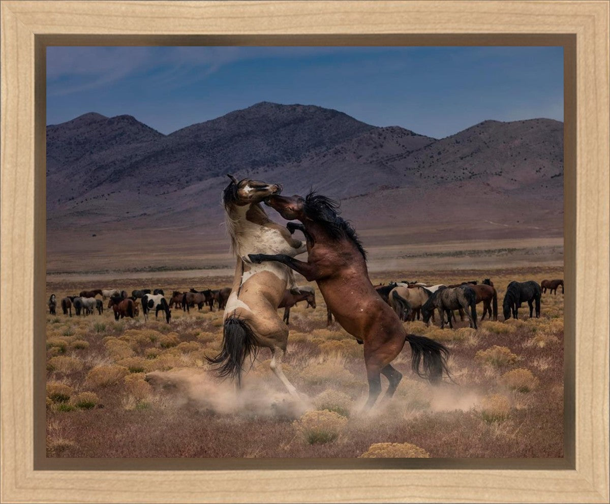 Desert Duel Gallery Wrap
