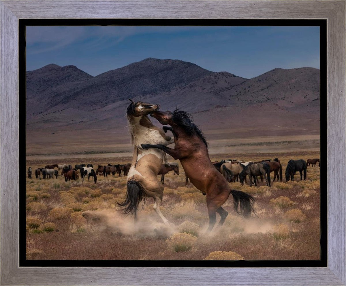 Desert Duel Gallery Wrap