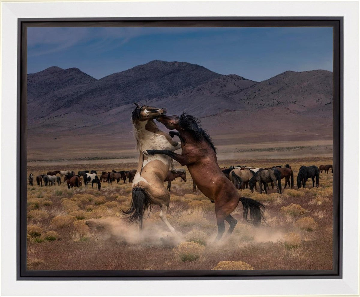 Desert Duel Gallery Wrap