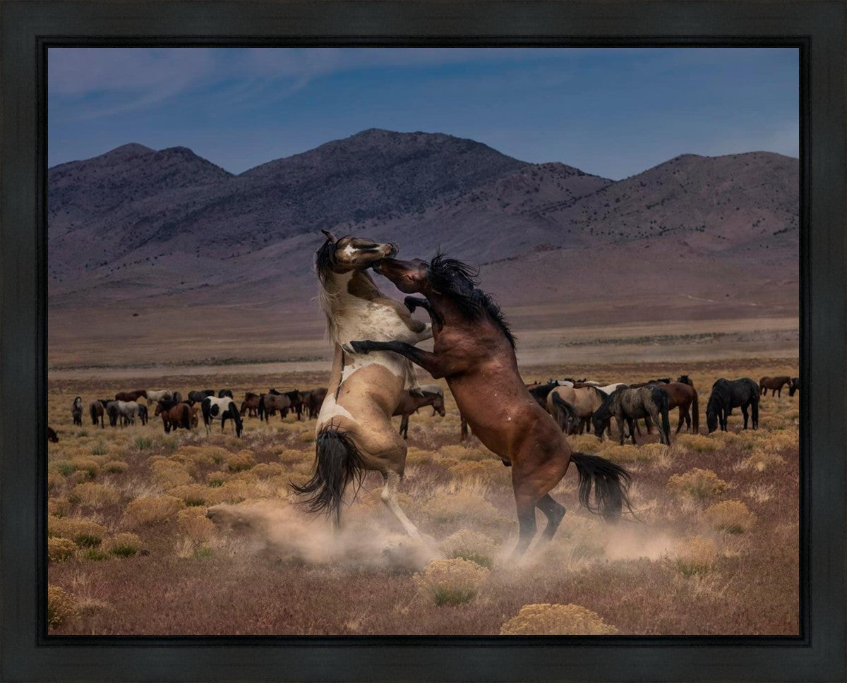 Desert Duel Gallery Wrap