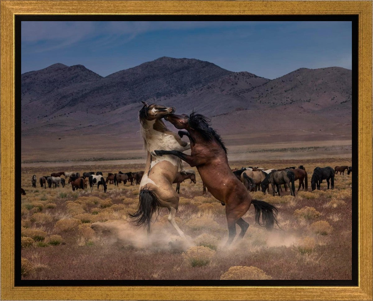 Desert Duel Gallery Wrap