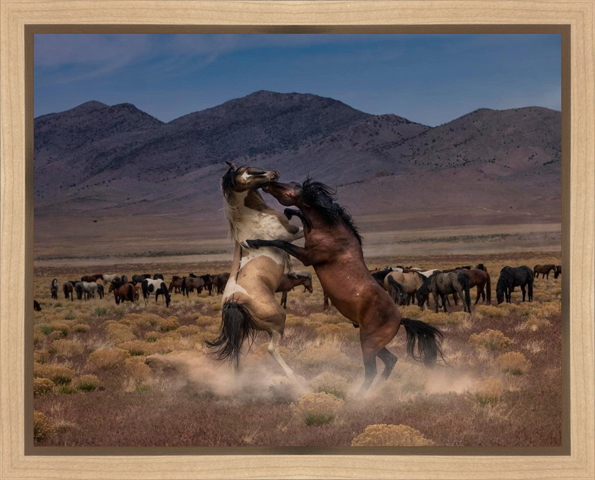Desert Duel Gallery Wrap