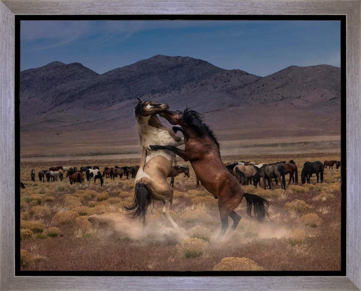 Desert Duel Gallery Wrap