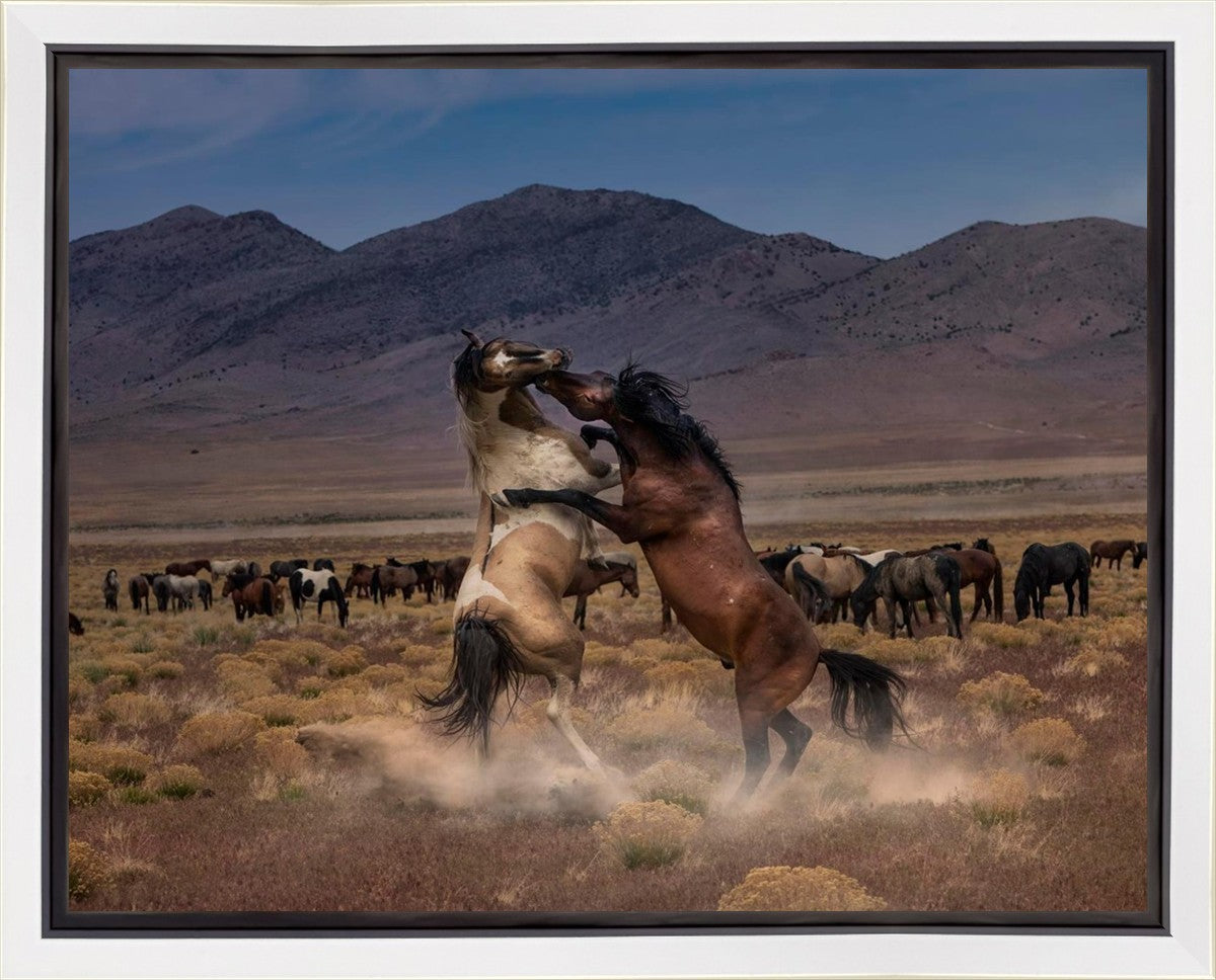 Desert Duel Gallery Wrap
