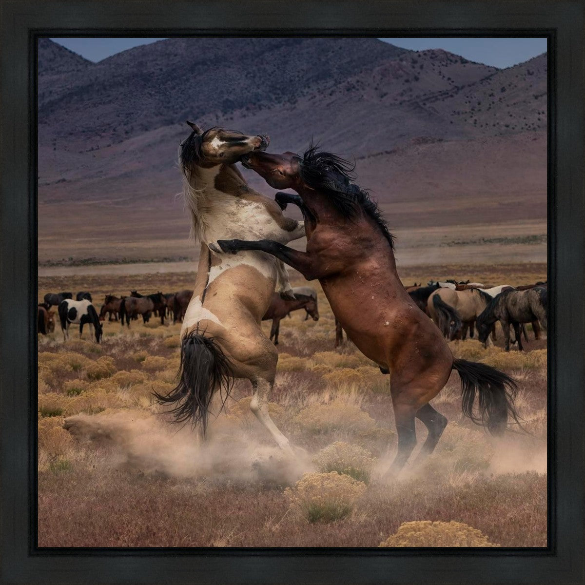 Desert Duel Gallery Wrap