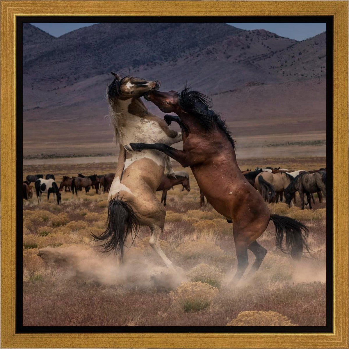 Desert Duel Gallery Wrap