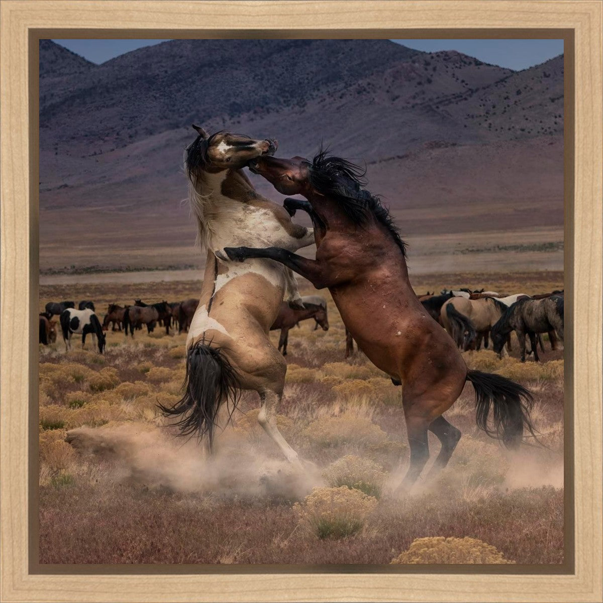 Desert Duel Gallery Wrap
