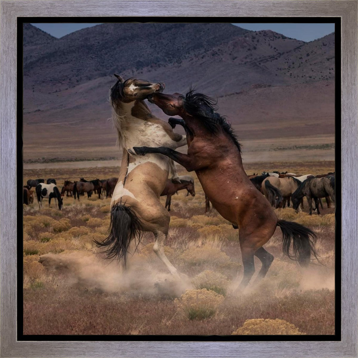 Desert Duel Gallery Wrap