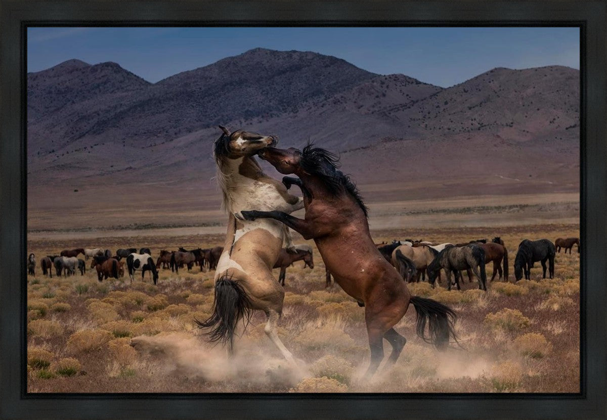 Desert Duel Gallery Wrap