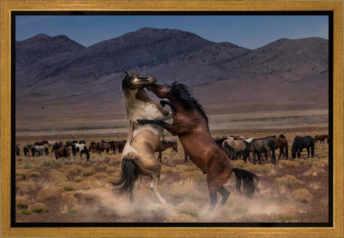 Desert Duel Gallery Wrap