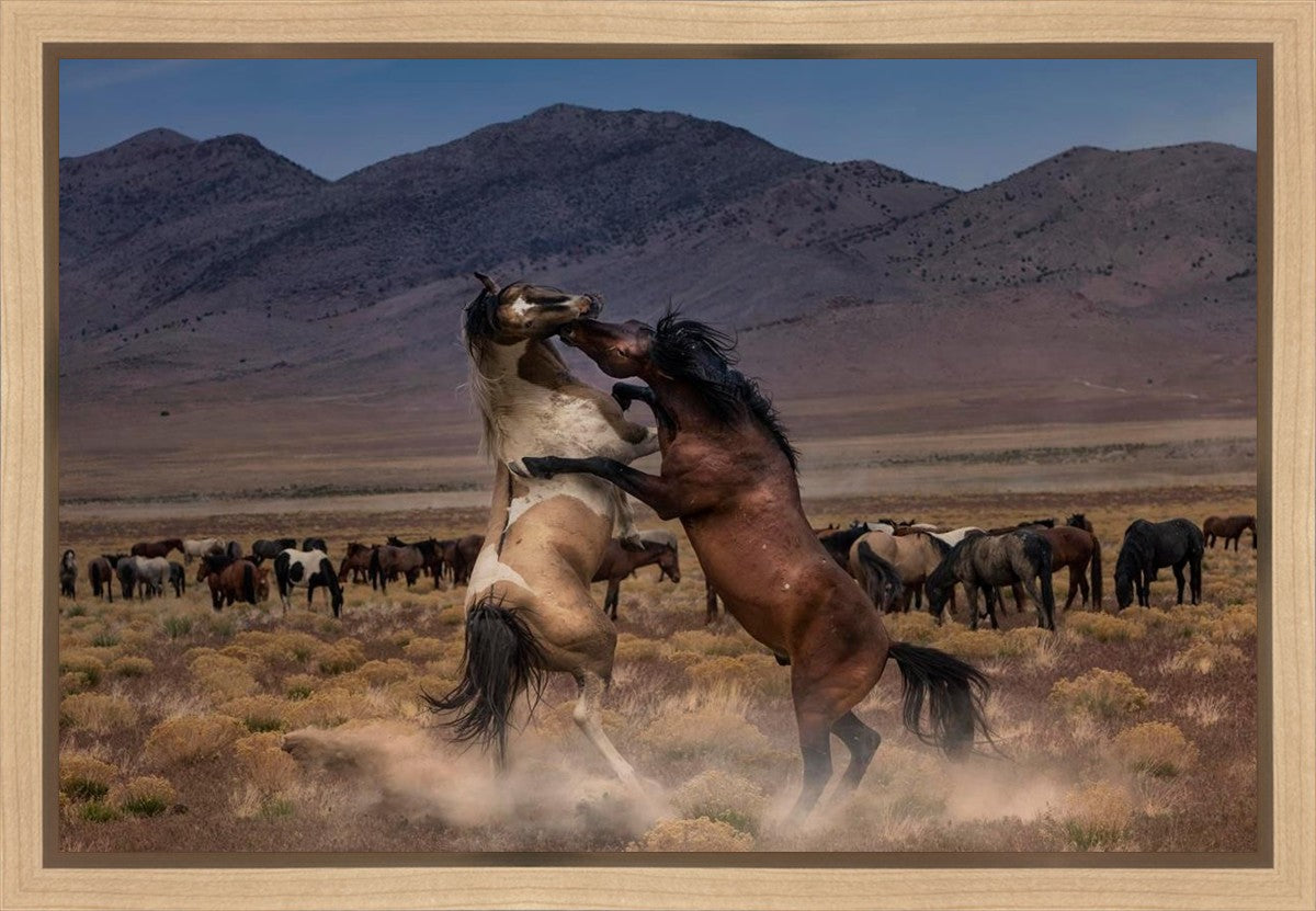 Desert Duel Gallery Wrap