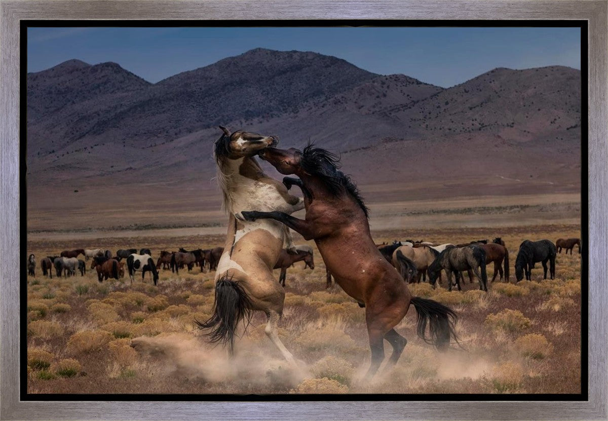 Desert Duel Gallery Wrap