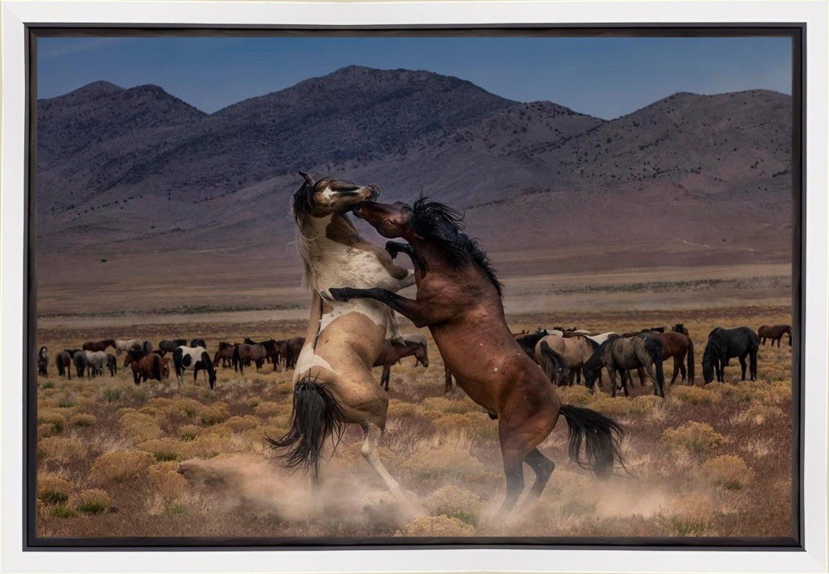 Desert Duel Gallery Wrap