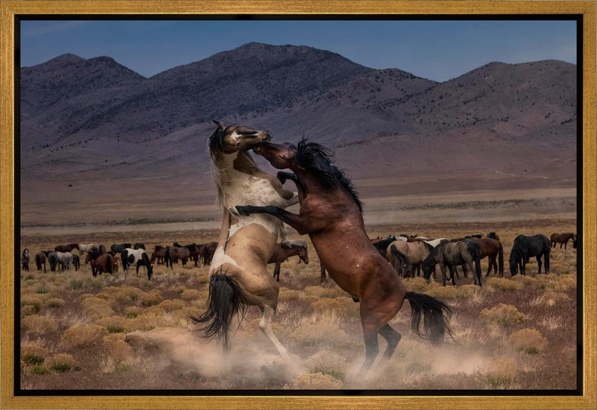Desert Duel Gallery Wrap