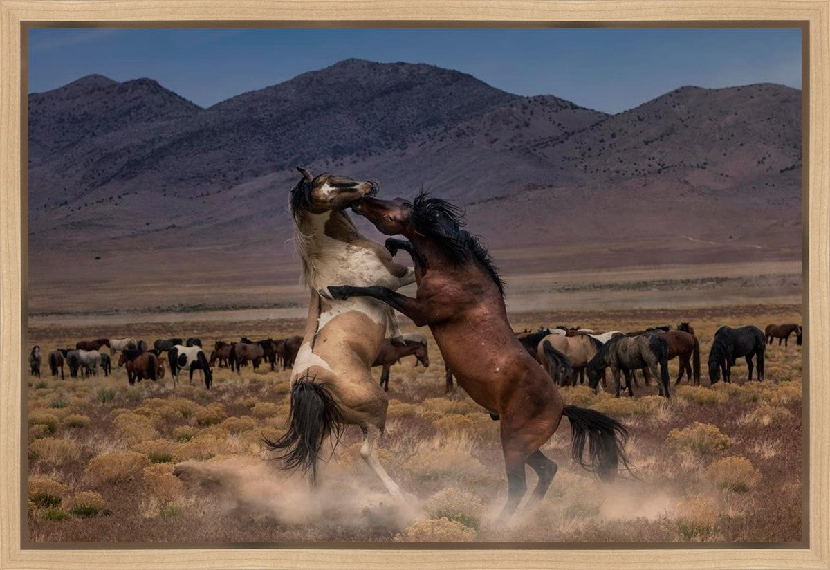 Desert Duel Gallery Wrap