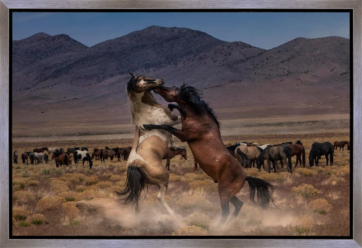 Desert Duel Gallery Wrap