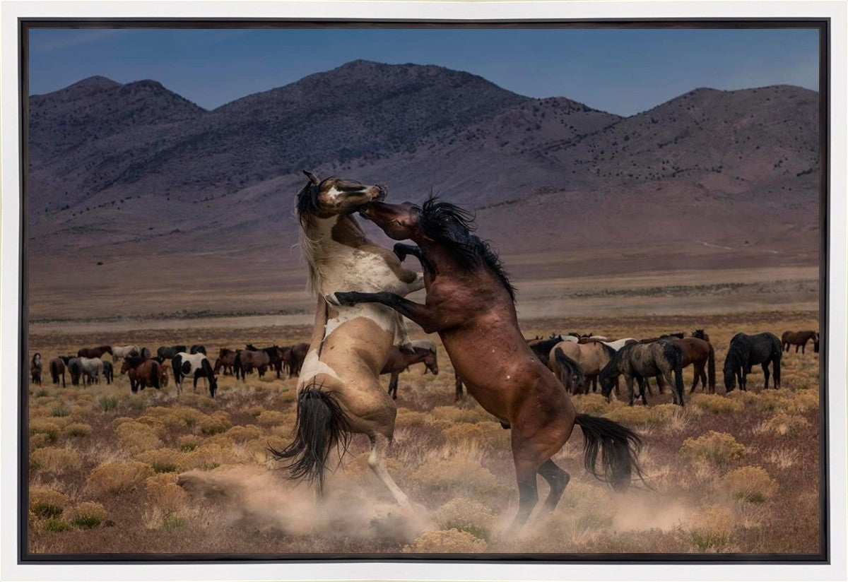Desert Duel Gallery Wrap