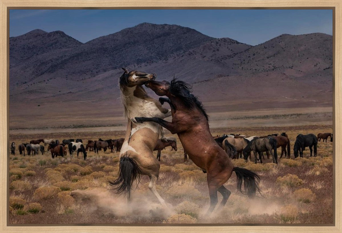 Desert Duel Gallery Wrap