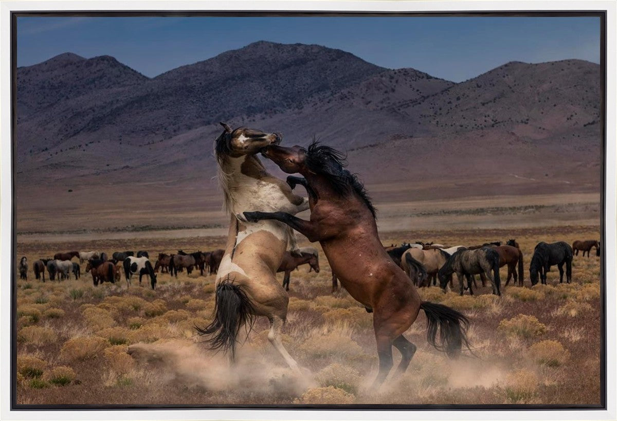 Desert Duel Gallery Wrap