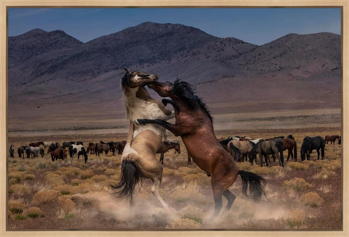 Desert Duel Gallery Wrap