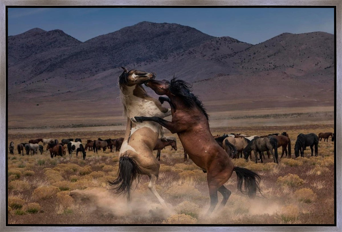 Desert Duel Gallery Wrap