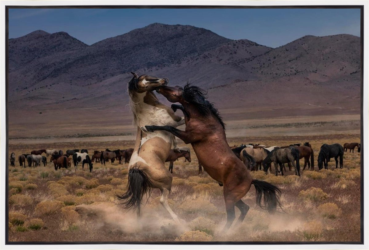 Desert Duel Gallery Wrap