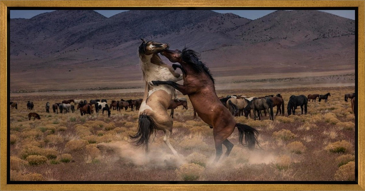 Desert Duel Gallery Wrap