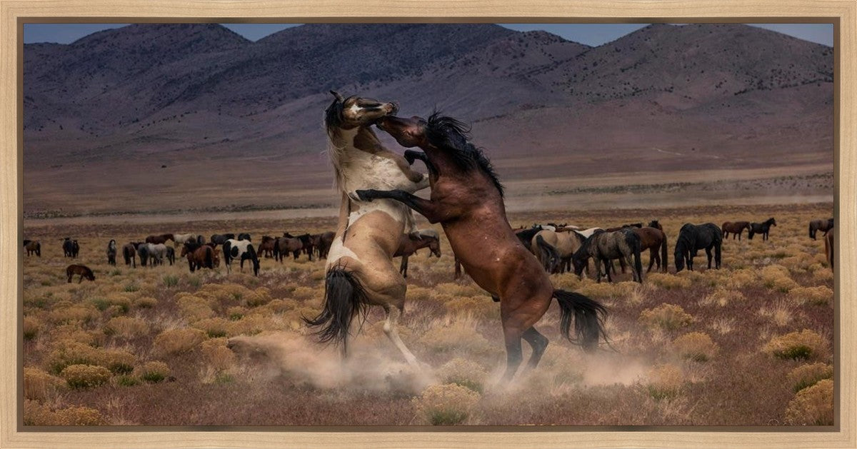 Desert Duel Gallery Wrap