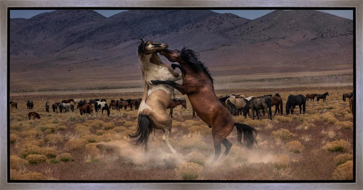 Desert Duel Gallery Wrap