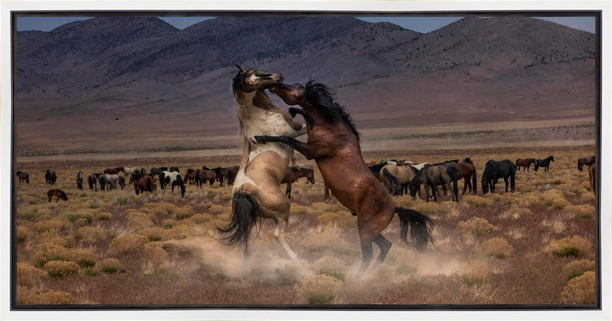 Desert Duel Gallery Wrap