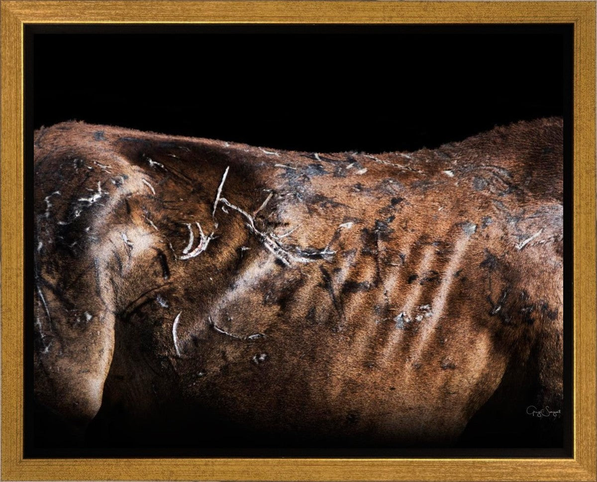 Battle Wounds Gallery Wrap