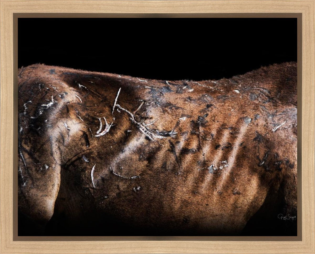 Battle Wounds Gallery Wrap