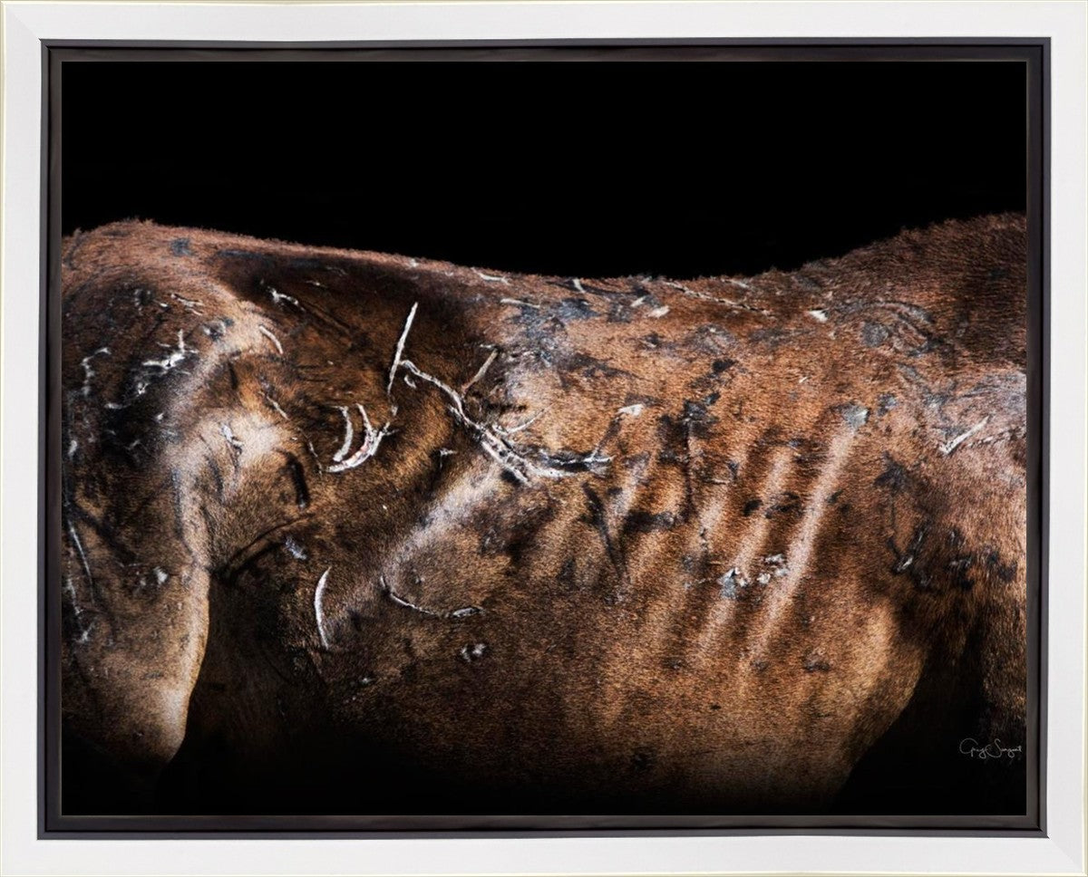 Battle Wounds Gallery Wrap