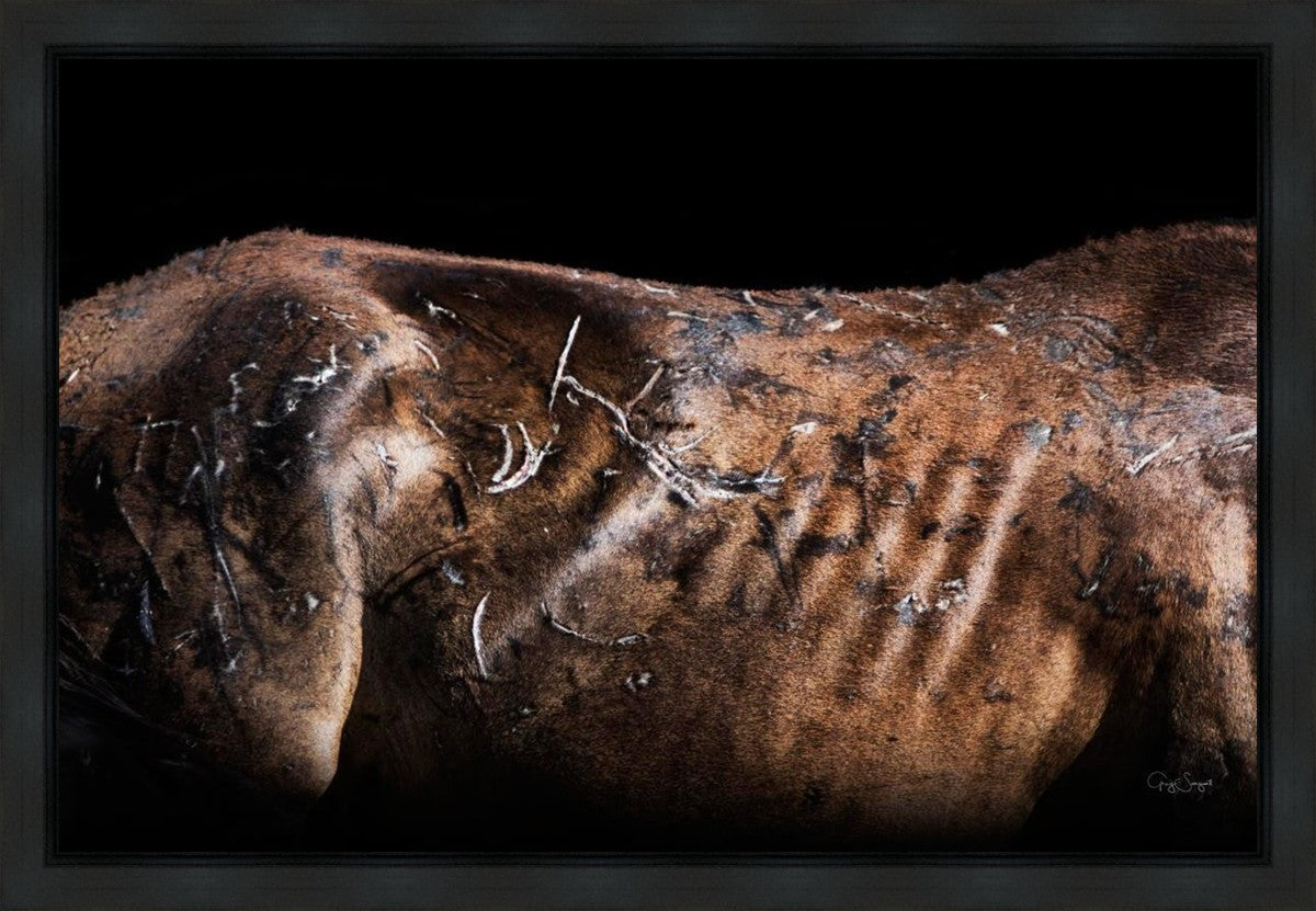 Battle Wounds Gallery Wrap