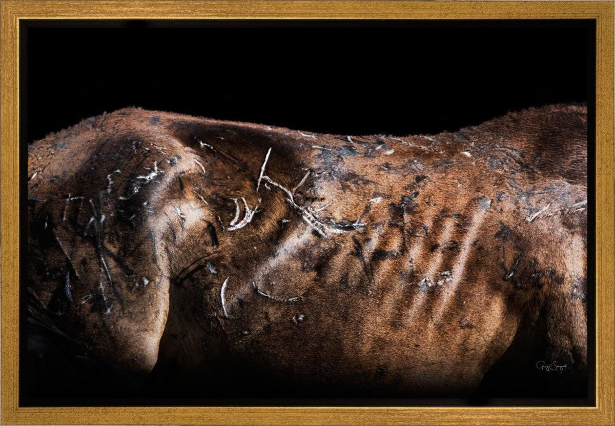 Battle Wounds Gallery Wrap
