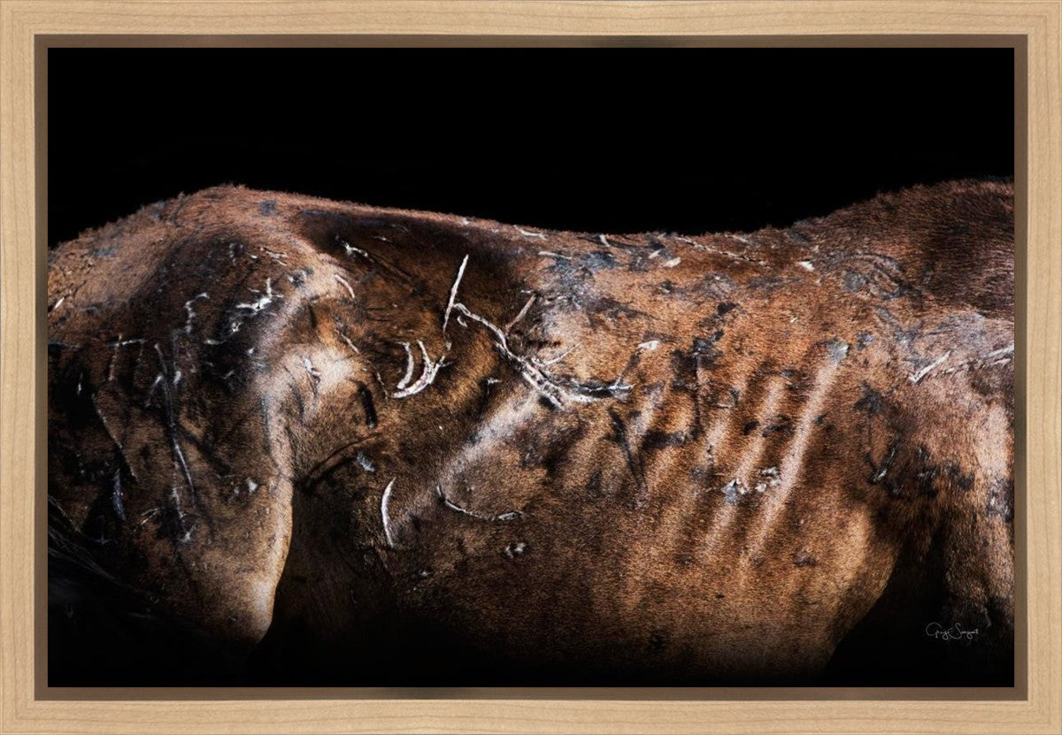 Battle Wounds Gallery Wrap