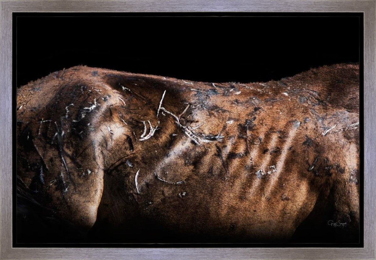 Battle Wounds Gallery Wrap