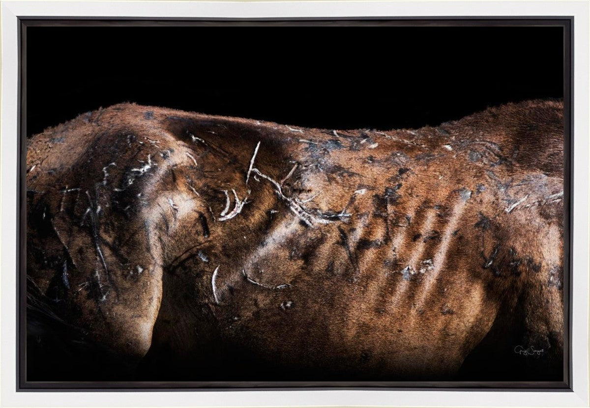 Battle Wounds Gallery Wrap