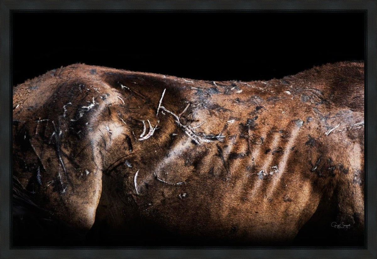 Battle Wounds Gallery Wrap