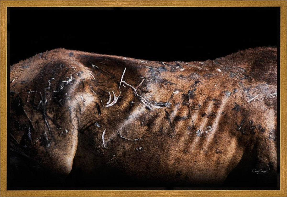 Battle Wounds Gallery Wrap