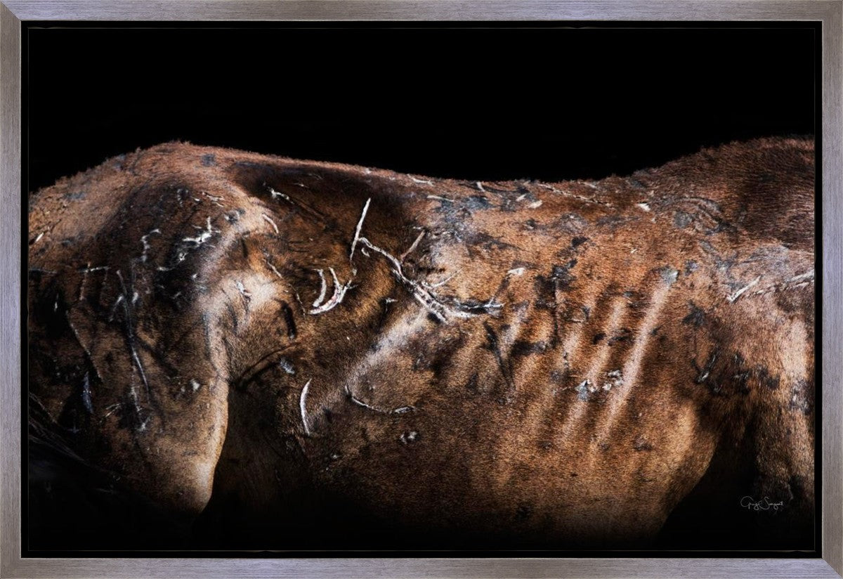 Battle Wounds Gallery Wrap