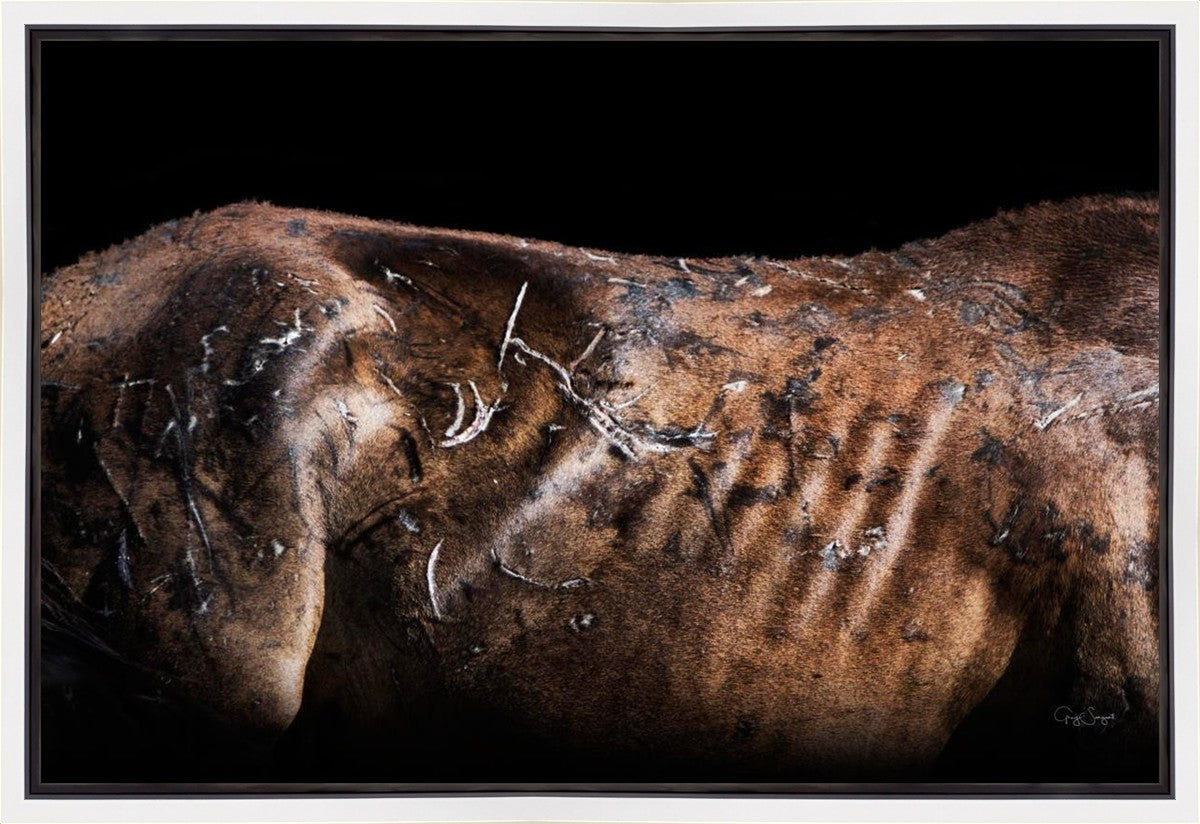 Battle Wounds Gallery Wrap