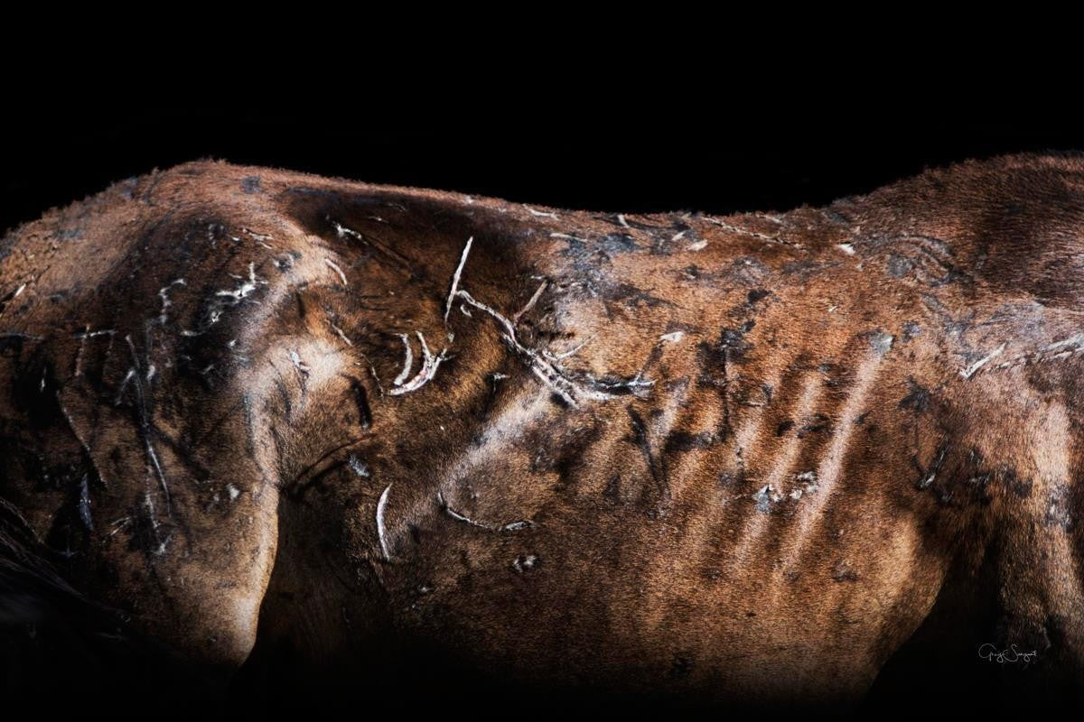 Battle Wounds Gallery Wrap