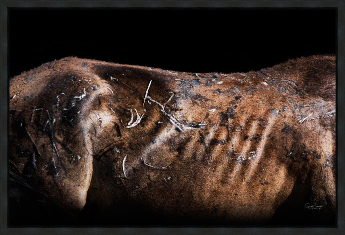 Battle Wounds Gallery Wrap