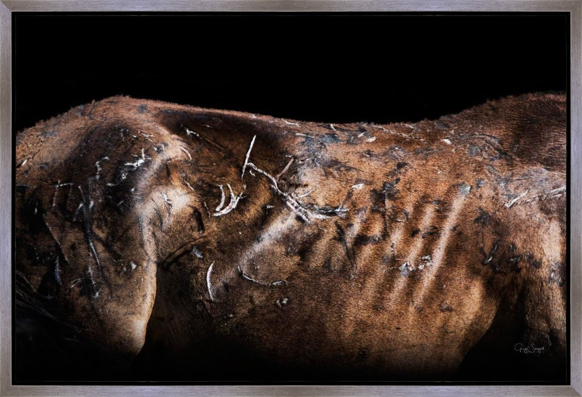 Battle Wounds Gallery Wrap