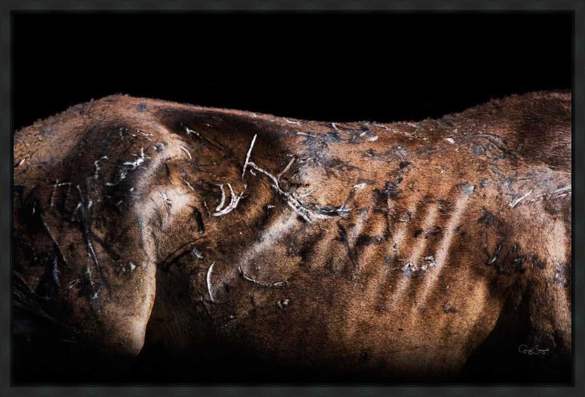 Battle Wounds Gallery Wrap