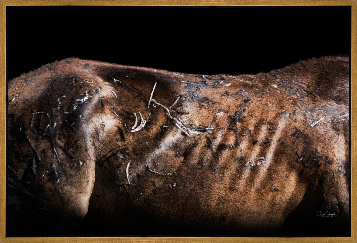 Battle Wounds Gallery Wrap