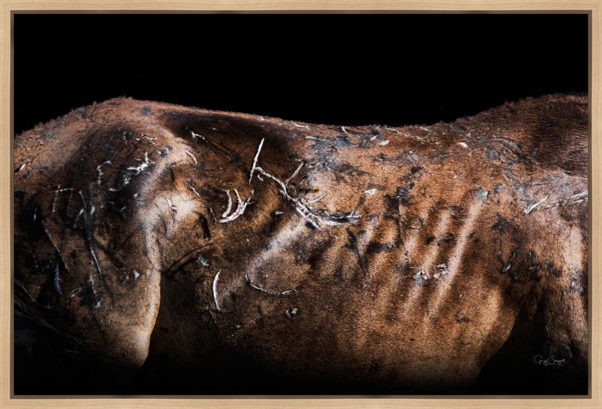 Battle Wounds Gallery Wrap