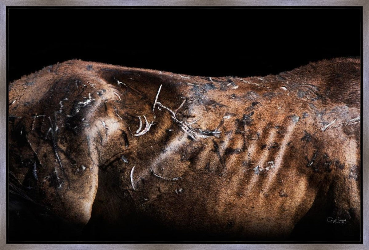 Battle Wounds Gallery Wrap