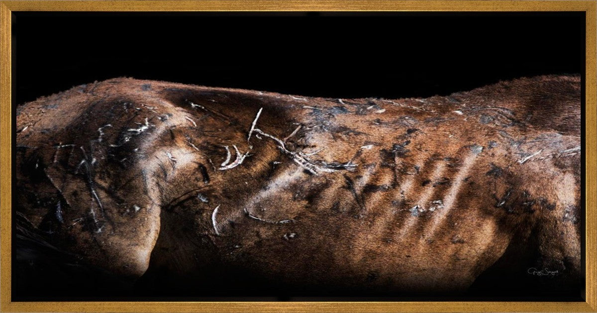 Battle Wounds Gallery Wrap